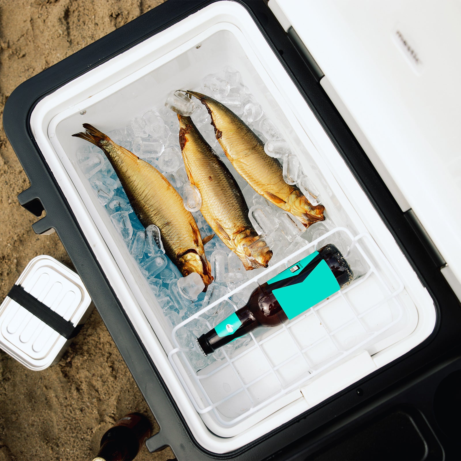 Glacière à compresseur MESTIC MCCHA-42 L pour voiture et camping, AC/DC 12/24 V 230 V