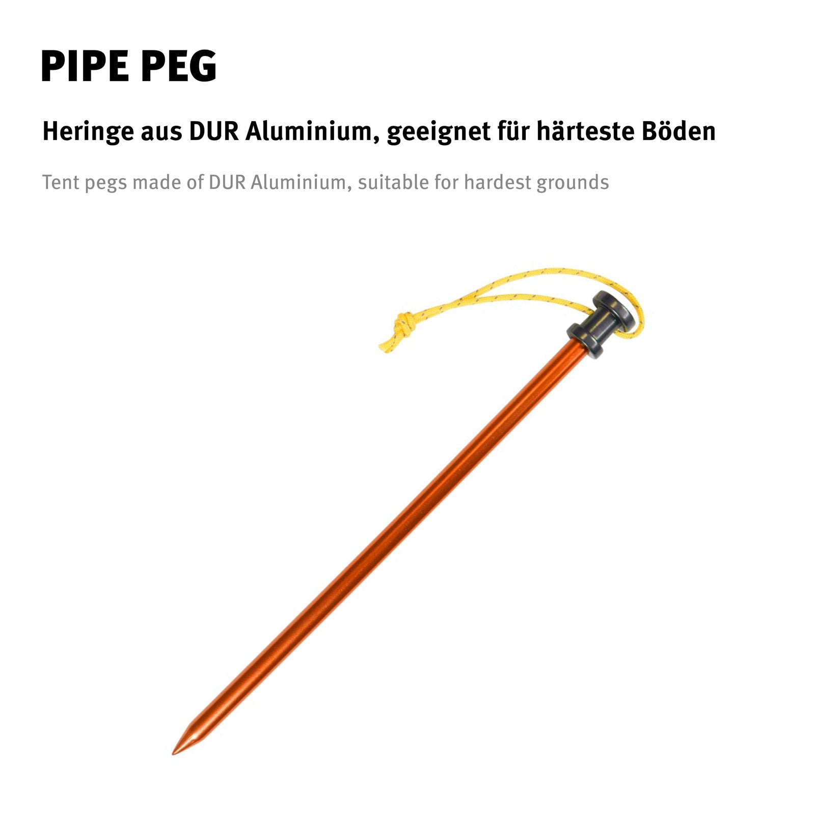WECHSEL Piquet de sol pour roche Piquet de tuyau Clou pour roche Piquet de tente Clou de sol 20 cm de long Alu