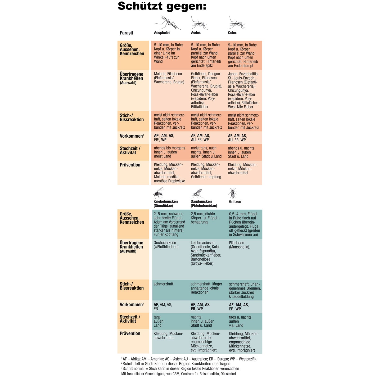 BRETTSCHNEIDER Kopfnetz Mückenschleier Reise Mücken Moskito Netz Insekten Schutz