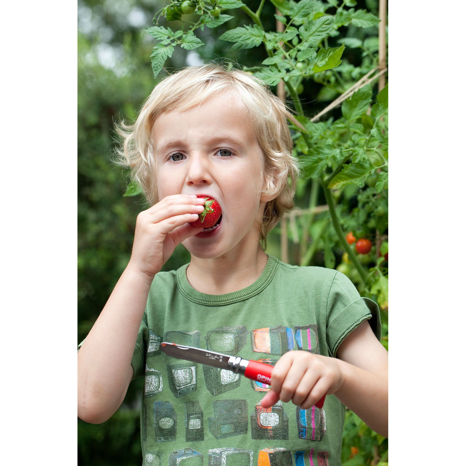 OPINEL children's knife carving knife children's pocket knife camping knife round wood