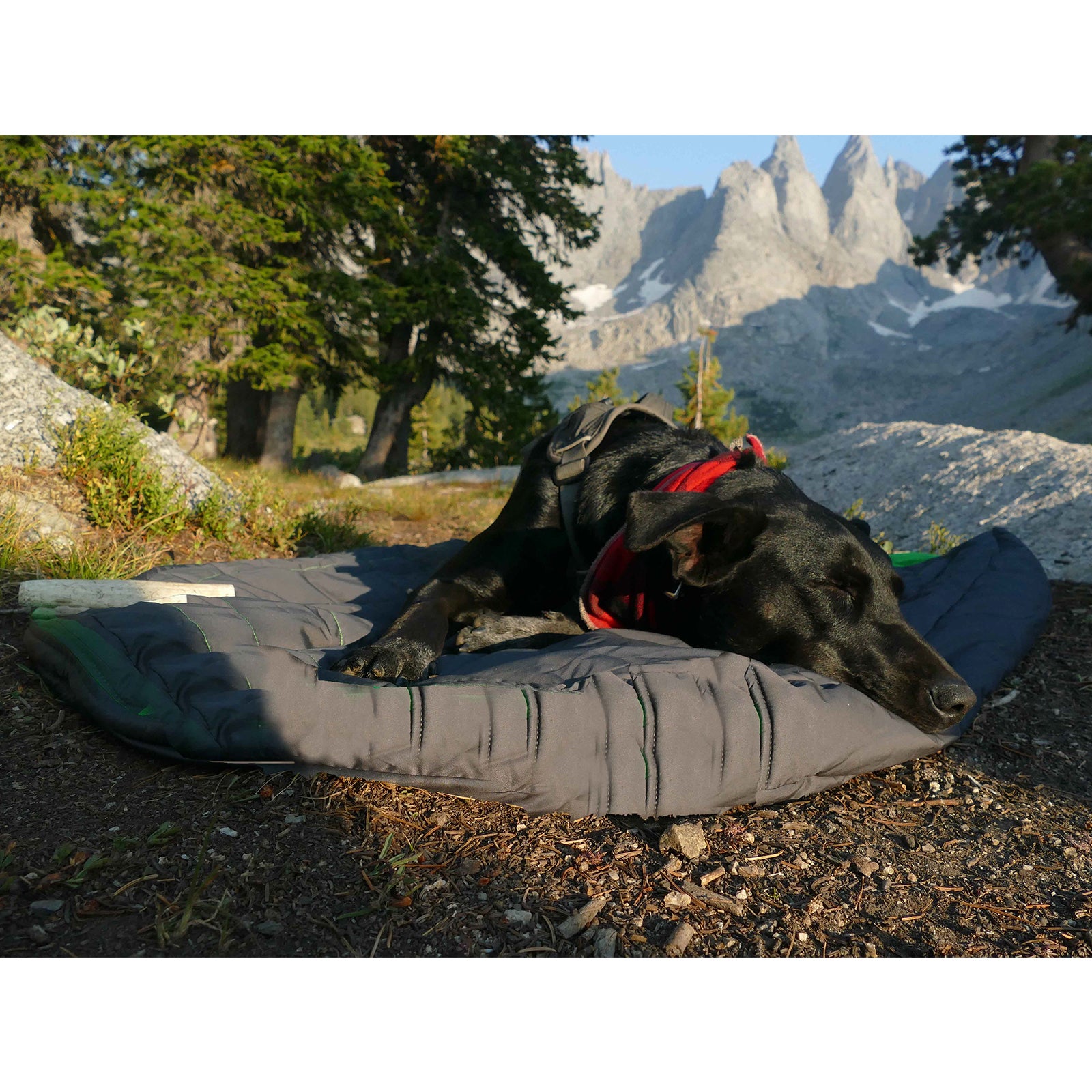 OUTCHAIR Camping Heizdecke Comforter L Outdoor Decke Hunde Wärme Matte Akku