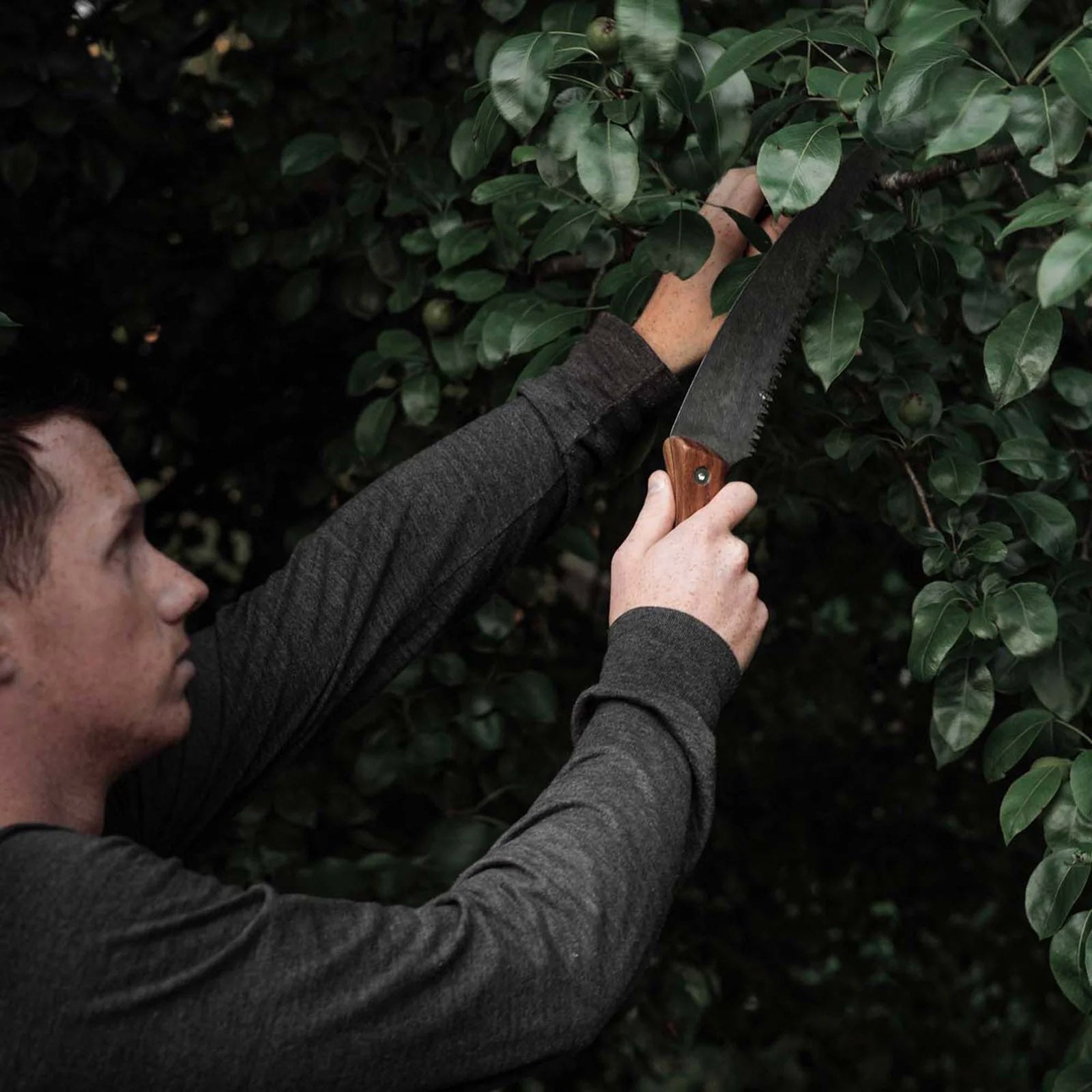 Scie à bois BAREBONES Scie à main Bushcraft Full Tang Scie à branches d'arbre de jardin Bois 25 cm