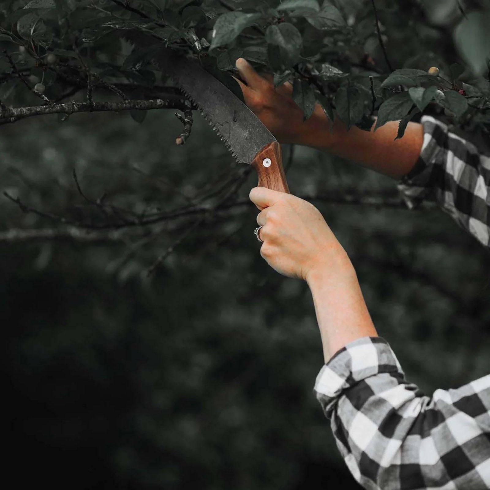 Scie à bois BAREBONES Scie à main Bushcraft Full Tang Scie à branches d'arbre de jardin Bois 25 cm