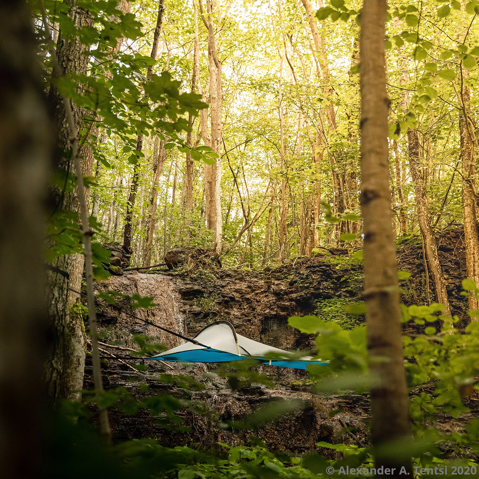 TENTSILE boomtent UNA 1-persoons tent voor trekking, bivak en hangmat 2 kg lichtgewicht