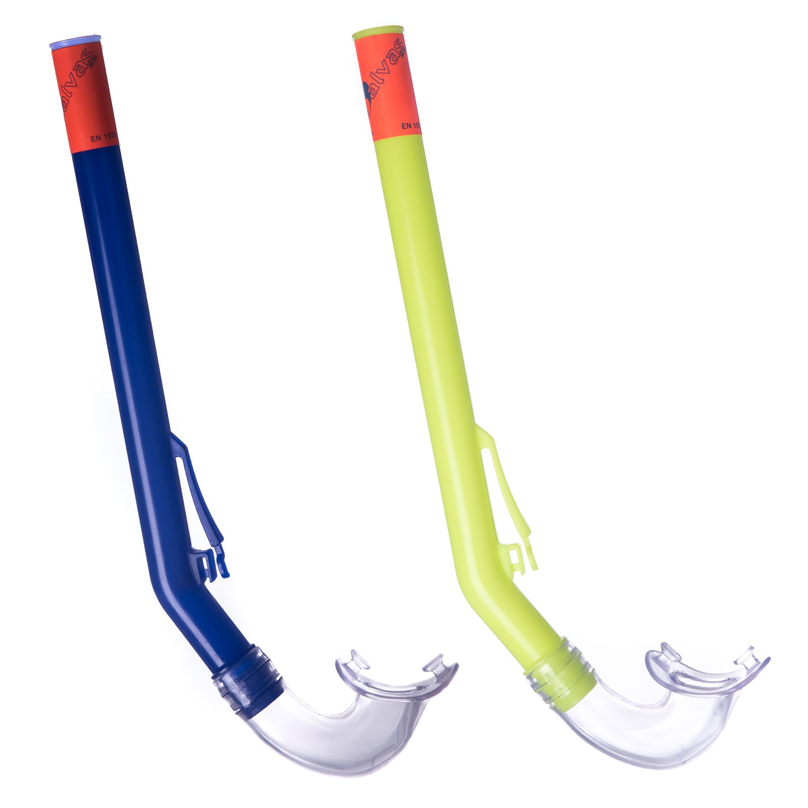 SALVAS Snorkel Rapallo L Diving Swimming Classic TPE Adult