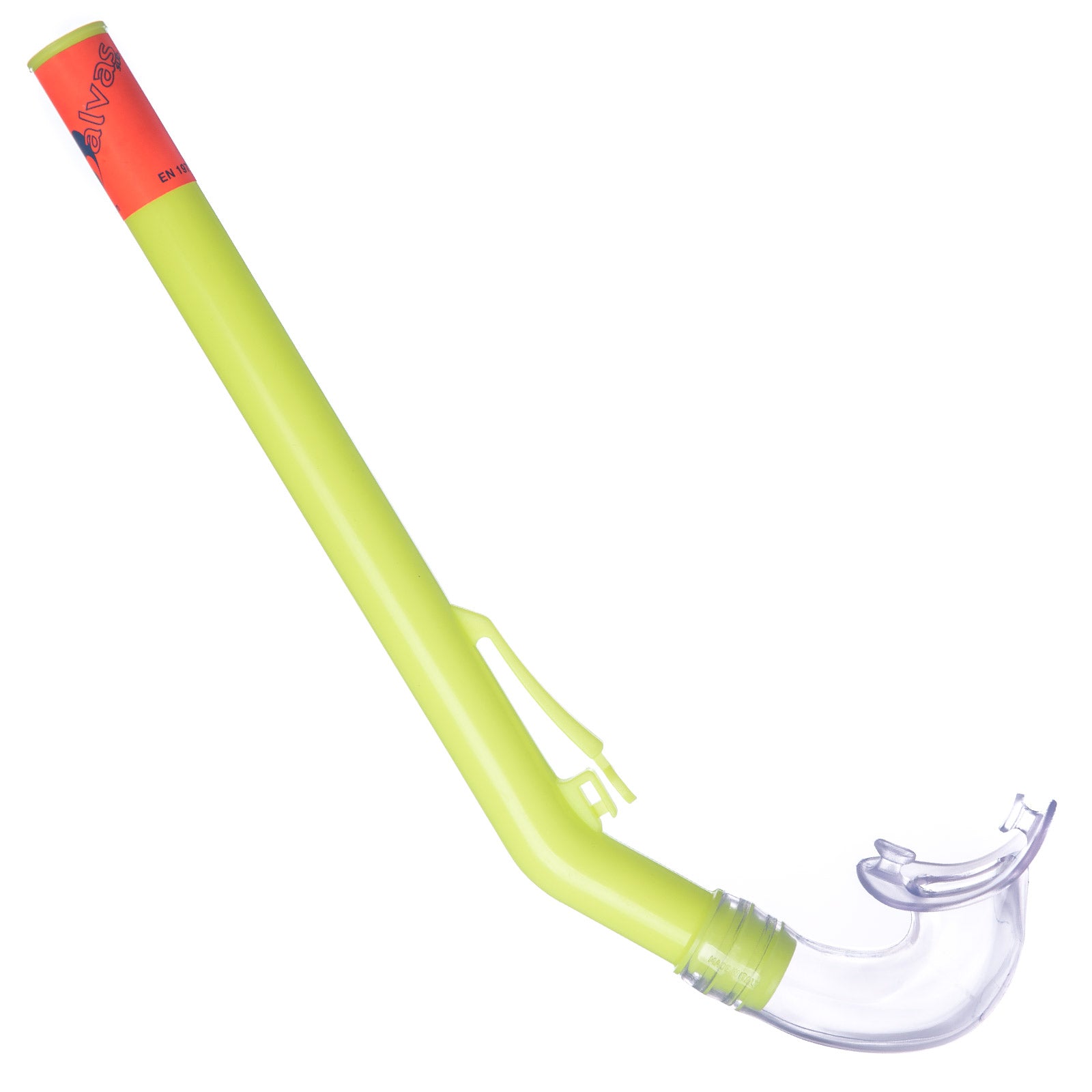 SALVAS Snorkel Rapallo L Diving Swimming Classic TPE Adult