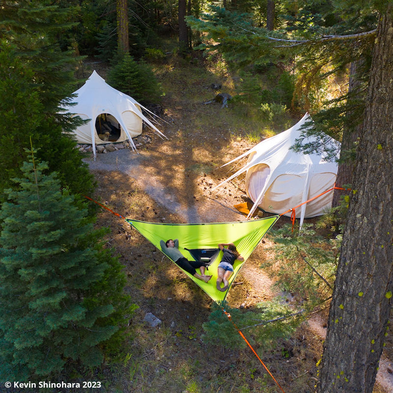 Tente hamac Trillium 3 personnes pour trekking en plein air, double tente d'arbre 4x4 m